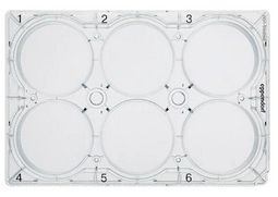 德國艾本德(Eppendorf)Cell Culture Plates,6-Well,無菌無熱原,無RNase和DNase,無人類和細菌DNA,無細胞毒素,TC處理,5mL,60塊,獨立包裝