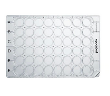 德國艾本德(Eppendorf)Cell Culture Plates,48-Well,無菌無熱原,無RNase和DNase,無人類和細(xì)菌DNA,無細(xì)胞毒素,TC處理,0.5mL,60塊,獨立包裝