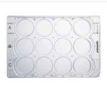 德國艾本德(Eppendorf)Cell Culture Plates,12-Well,無菌無熱原,無RNase和DNase,無人類和細菌DNA,無細胞毒素,TC處理,2mL,60塊,獨立包裝