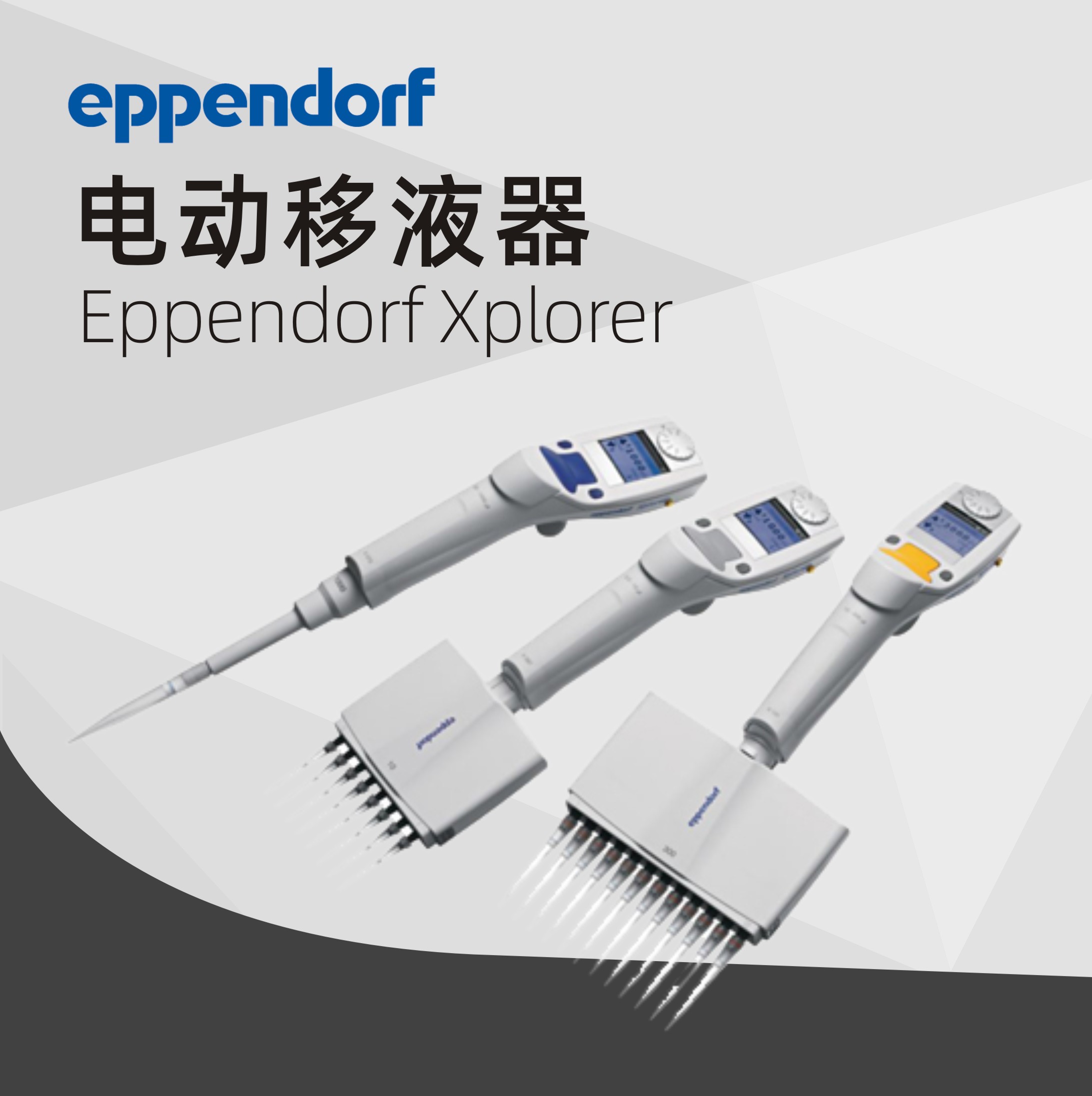 德國艾本德移液器 12 道電動移液器 Xplorer? /Xplorer? Plus Eppendorf 